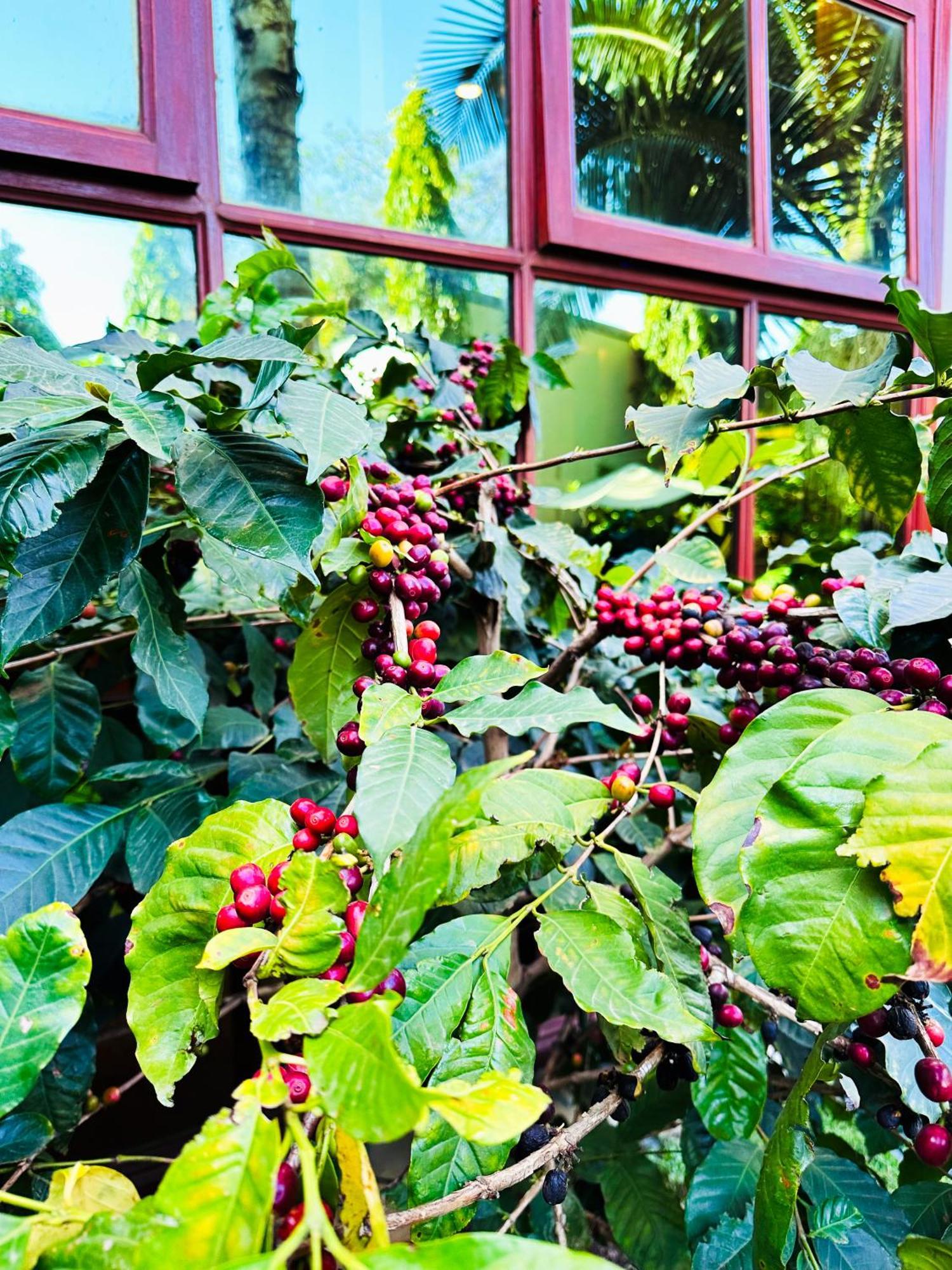 Green Mountain Hotel Arusha Ngoại thất bức ảnh